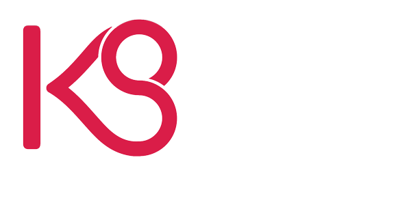 Kindersley Social Television